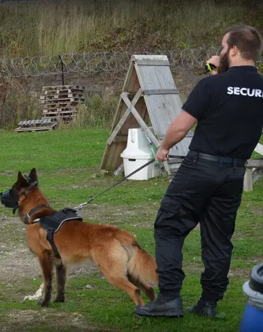 Un agent cynophile avec son chien de sécurité en patrouille, prêt à intervenir sur un site sécurisé.